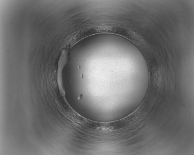 X0000052550498200507152203