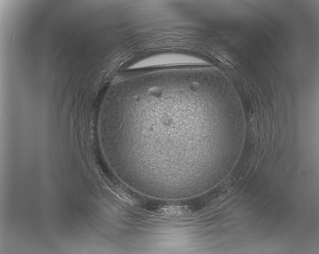 X0000052550499200507152203