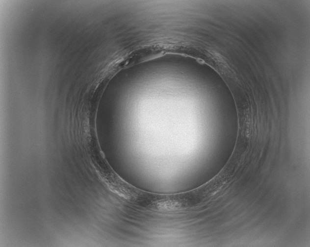 X0000052550500200507152203