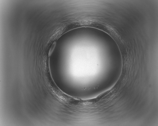 X0000052550501200507152203