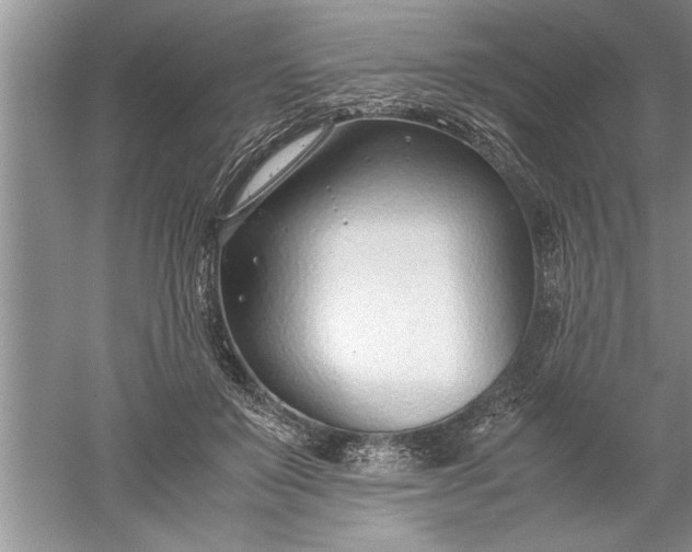 X0000052550503200507152203