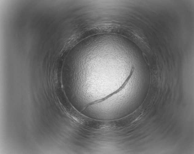 X0000052550504200507152203