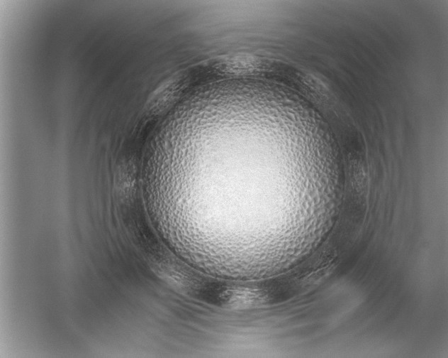 X0000052550507200507152203