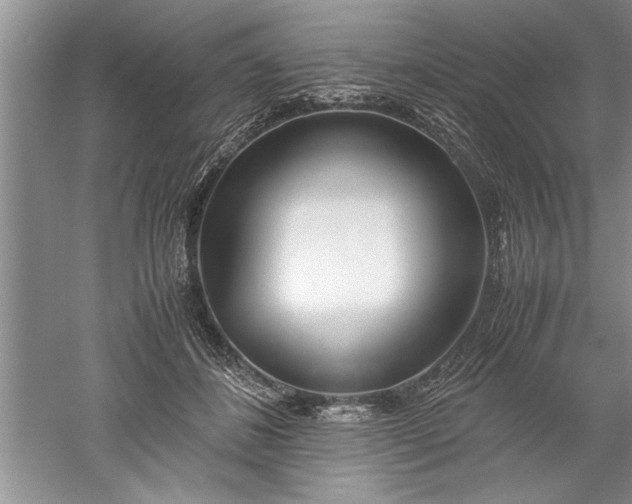 X0000052550508200507152203