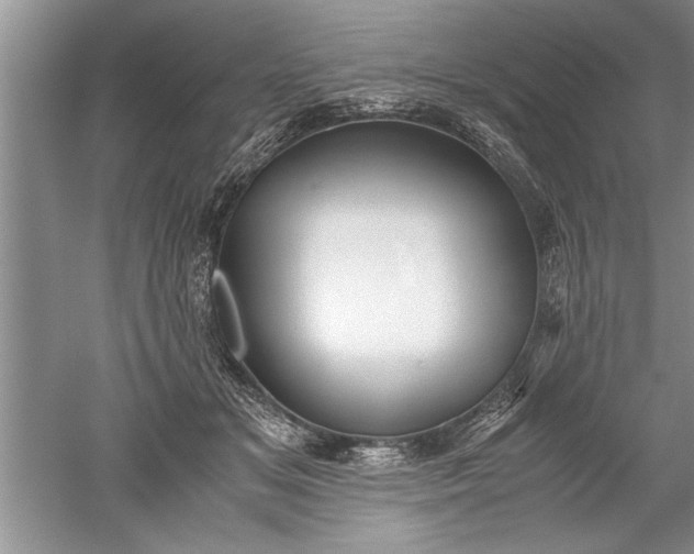 X0000052550509200507152203