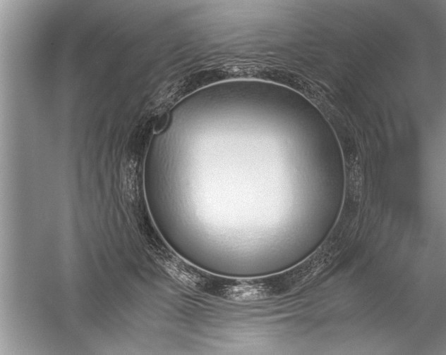 X0000052550511200507152203