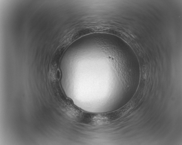 X0000052550515200507152203