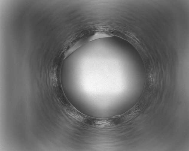 X0000052550516200507152203