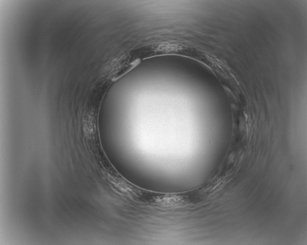 X0000052550517200507152203