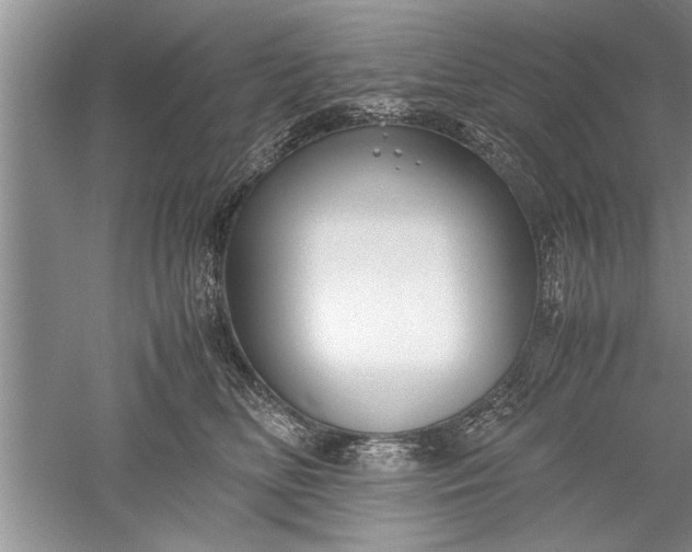 X0000052550518200507152203