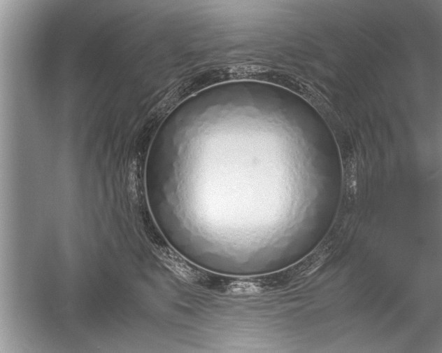 X0000052550519200507152203