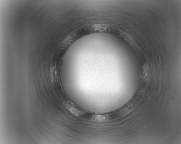 X0000052550522200507152203