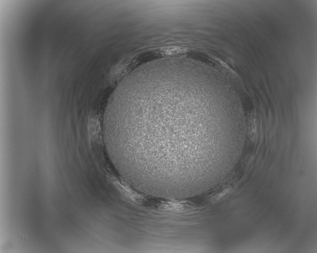 X0000052550523200507152203