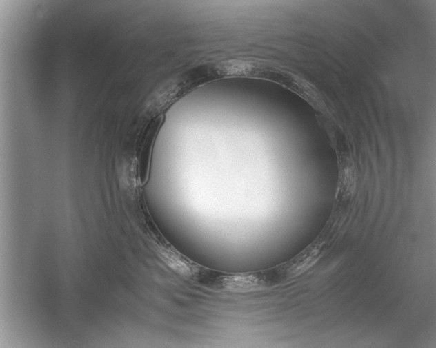 X0000052550525200507152203