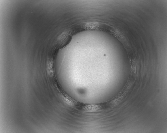 X0000052550526200507152203