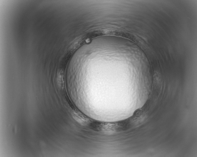 X0000052550527200507152203