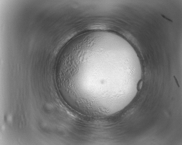 X0000052550529200507152202