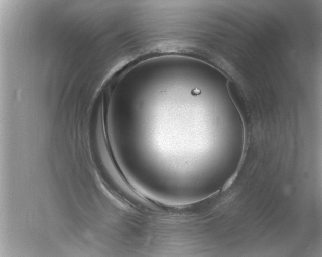 X0000052550530200507152202