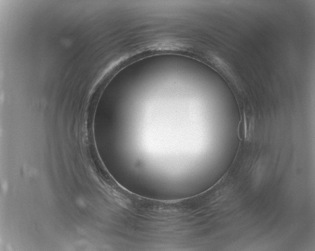 X0000052550531200507152202