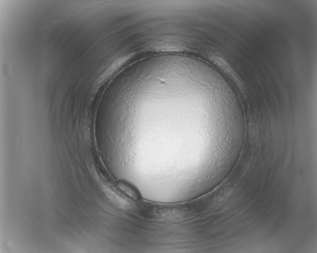 X0000052550533200507152202