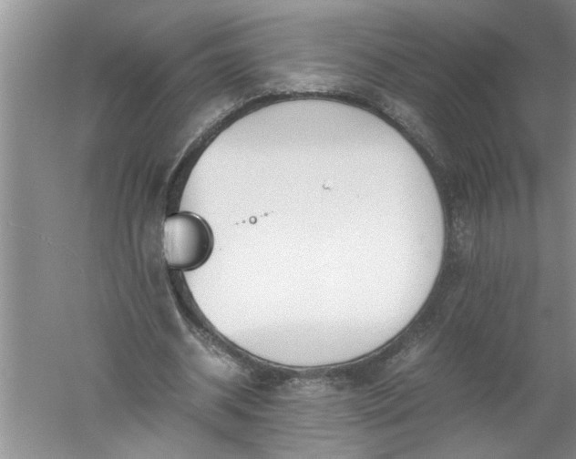 X0000052550534200507152202