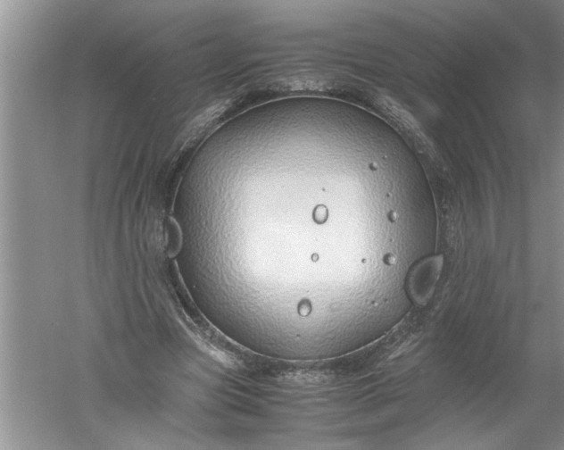 X0000052550537200507152202