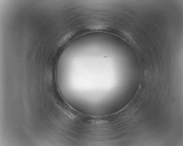 X0000052550539200507152202