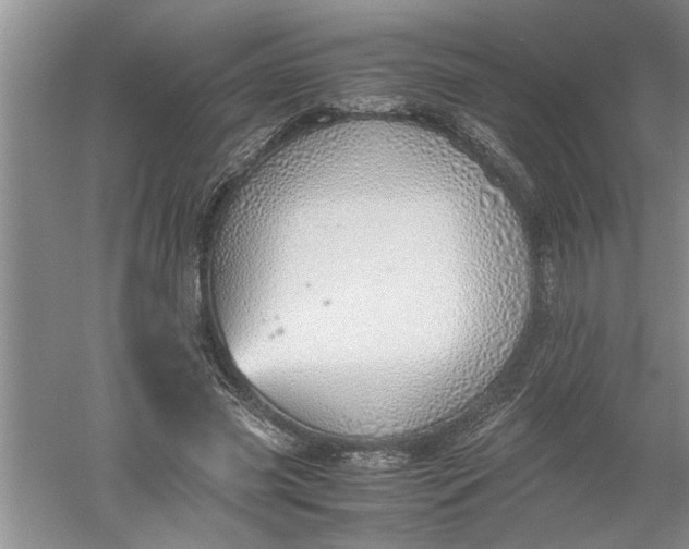 X0000052550541200507152202