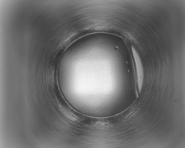 X0000052550542200507152202