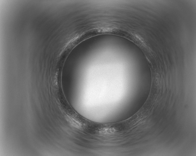 X0000052550543200507152202