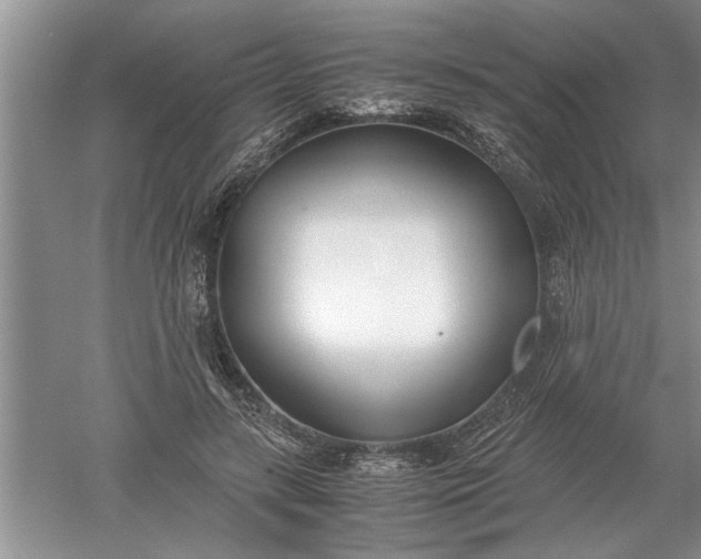 X0000052550547200507152202