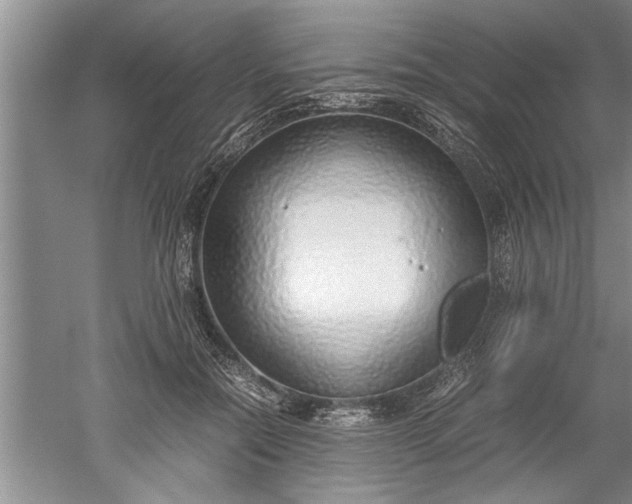 X0000052550554200507152202