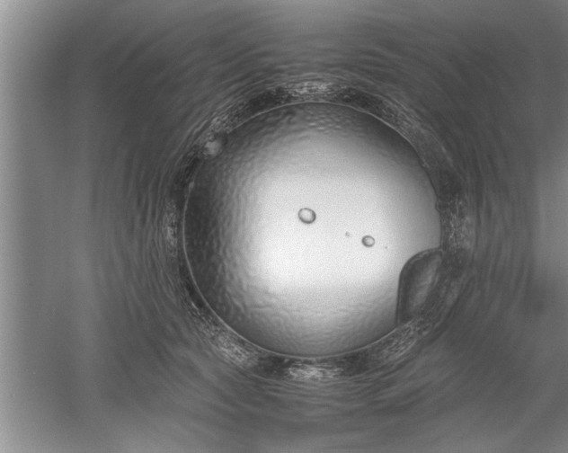 X0000052550561200507152202