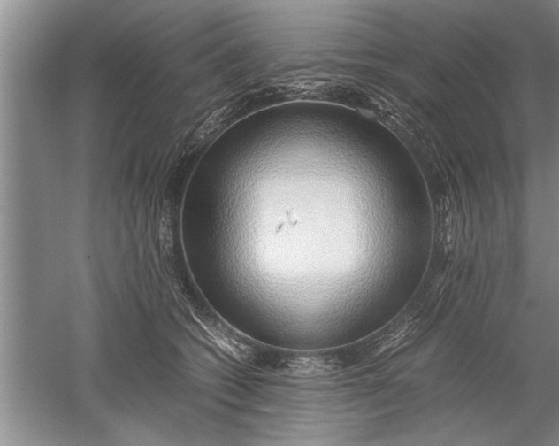 X0000052550562200507152202