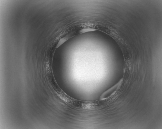 X0000052550564200507152202