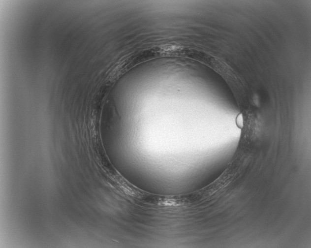 X0000052550565200507152203