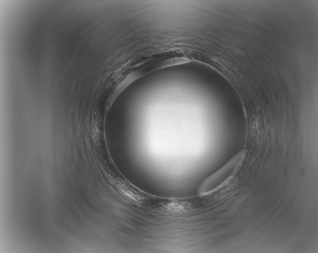 X0000052550566200507152203