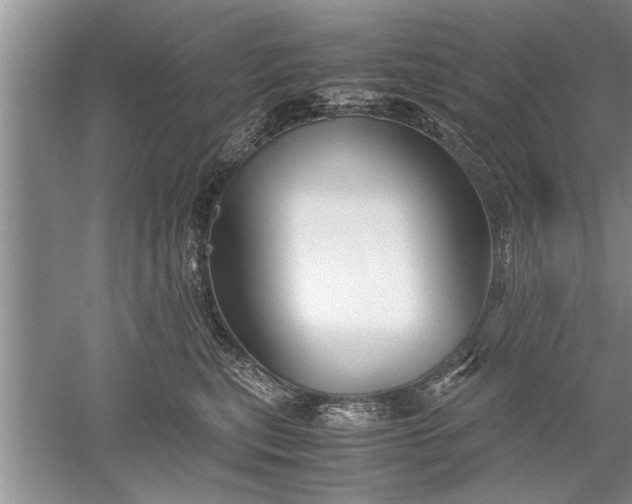 X0000052550567200507152203