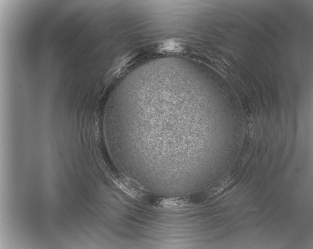 X0000052550568200507152203