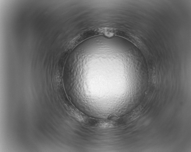 X0000052550569200507152203