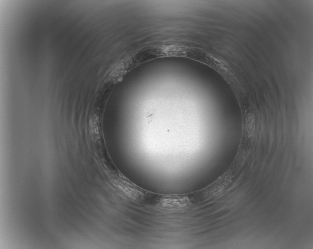 X0000052550571200507152203