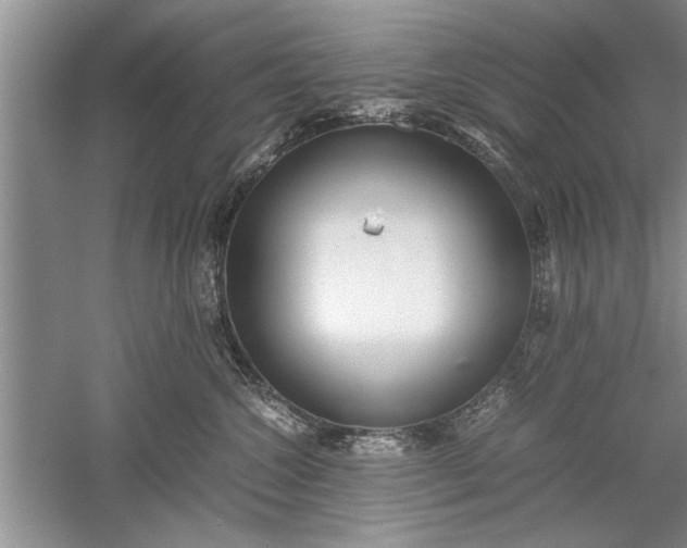 X0000052550572200507152203