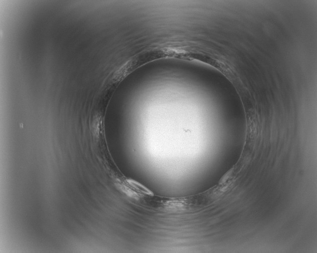 X0000052550574200507152203