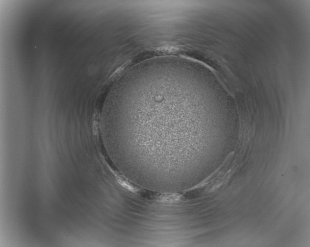 X0000052550576200507152203