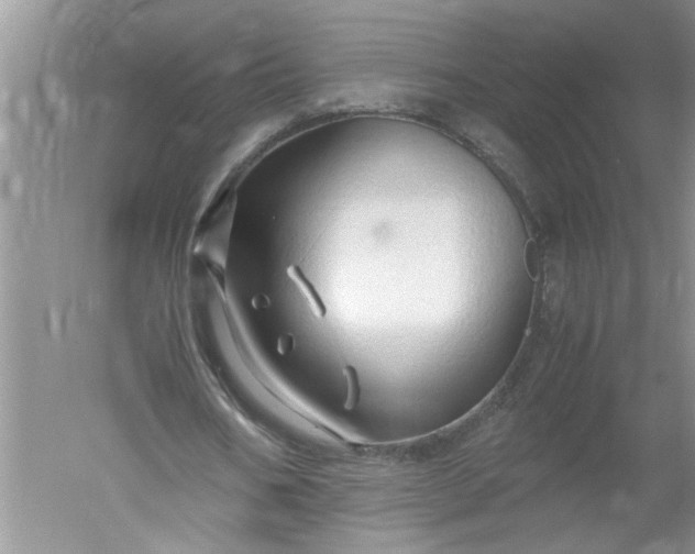 X0000052550578200507152202