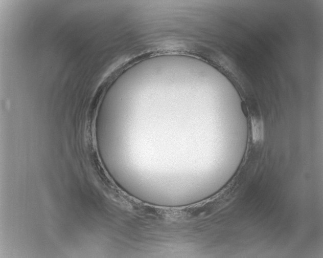 X0000052550579200507152202