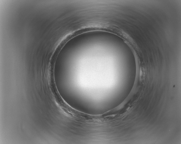 X0000052550580200507152202