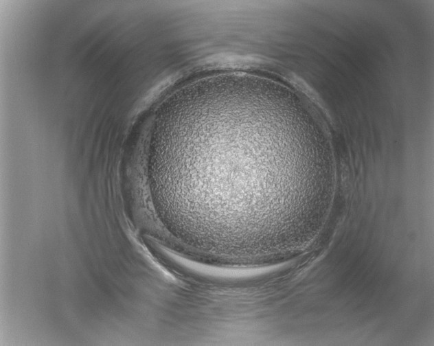 X0000052550581200507152202