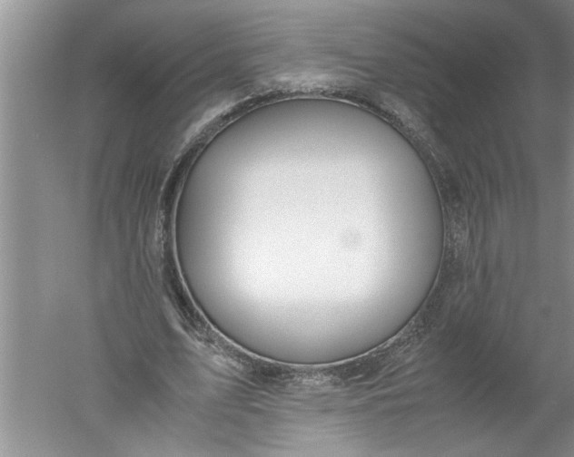 X0000052550583200507152202