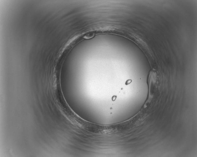 X0000052550584200507152202